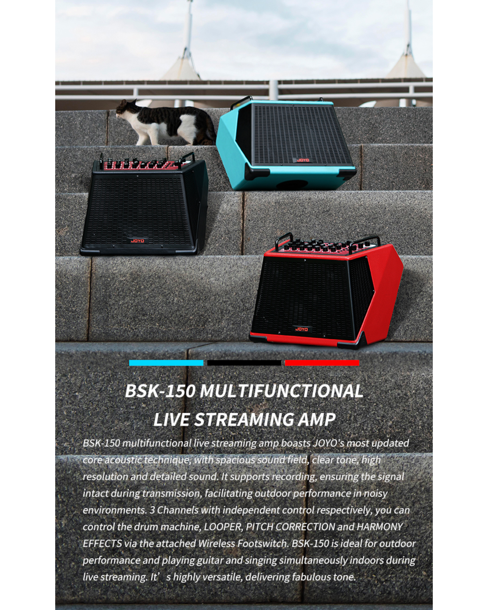 Joyo 150W Professional Multifunctional Rechargeable Outdoor Amp w