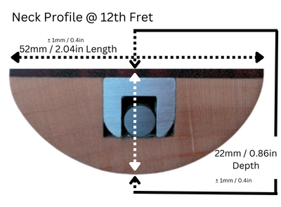 Haze HSST1910GN1WNECK Electric Guitar Neck