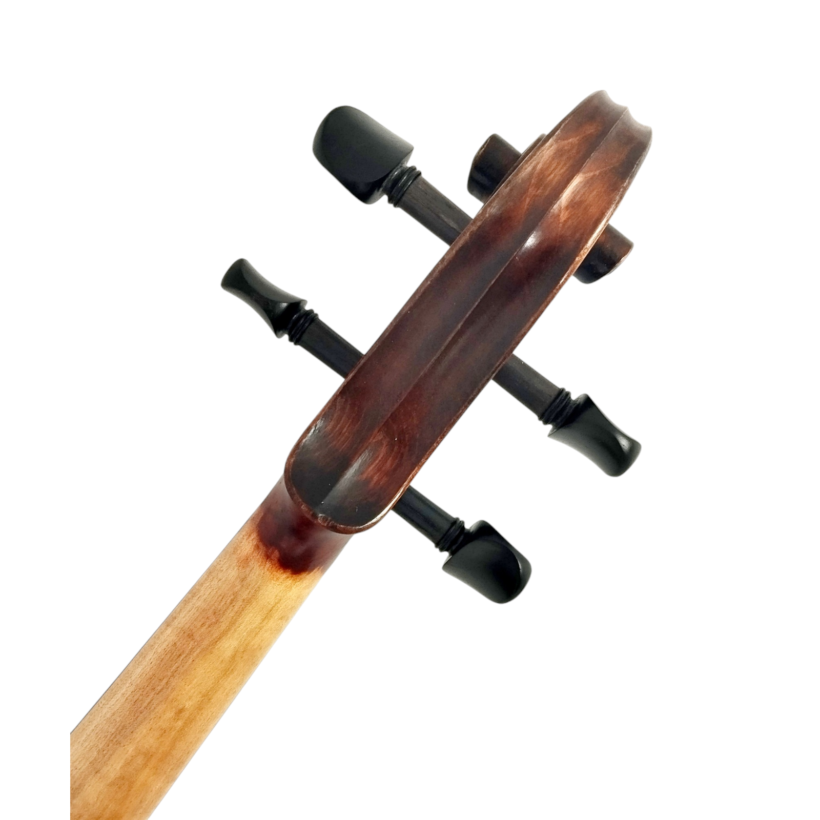 Enraptured Melodies: The AA80 Symphony Viola