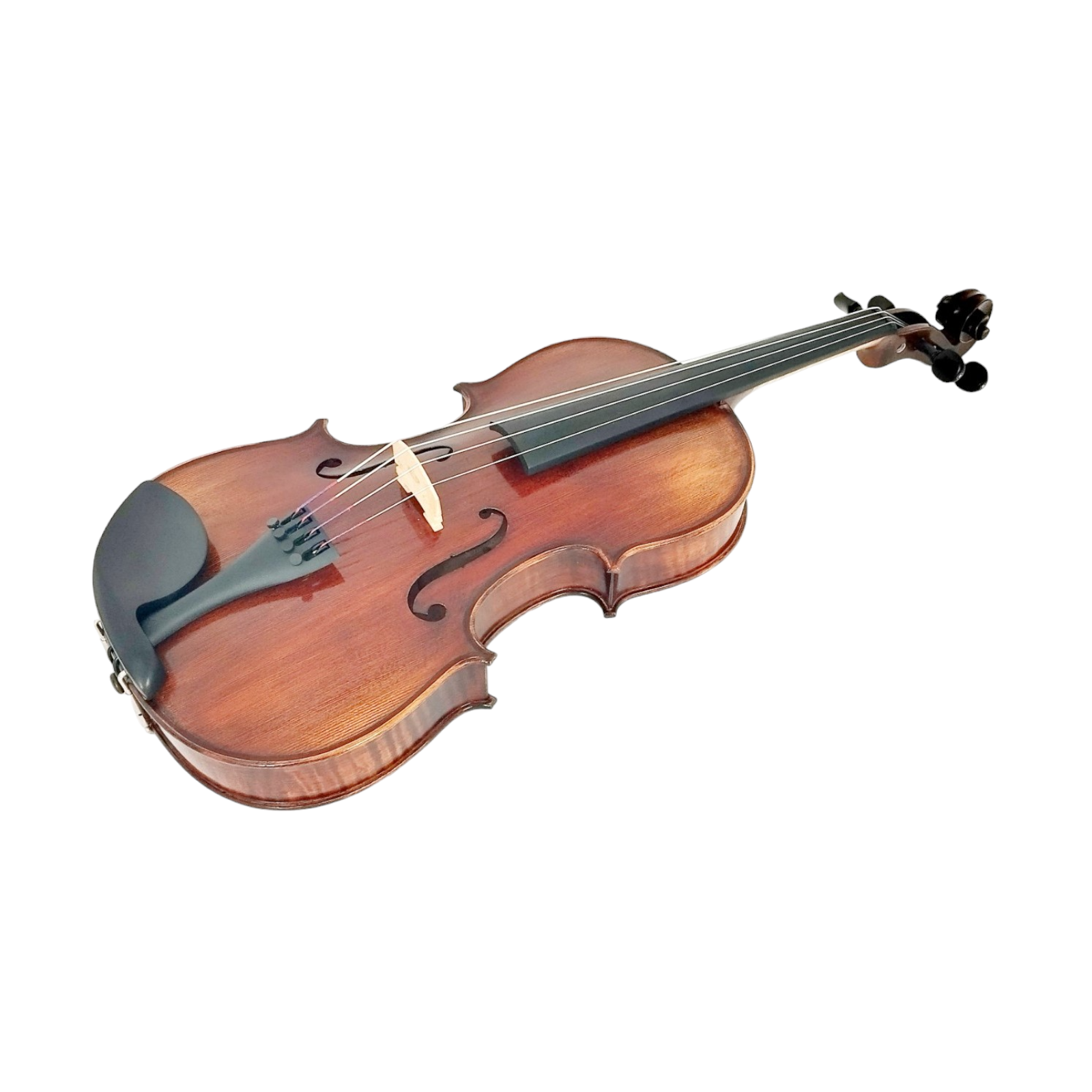 Enraptured Melodies: The AA80 Symphony Viola
