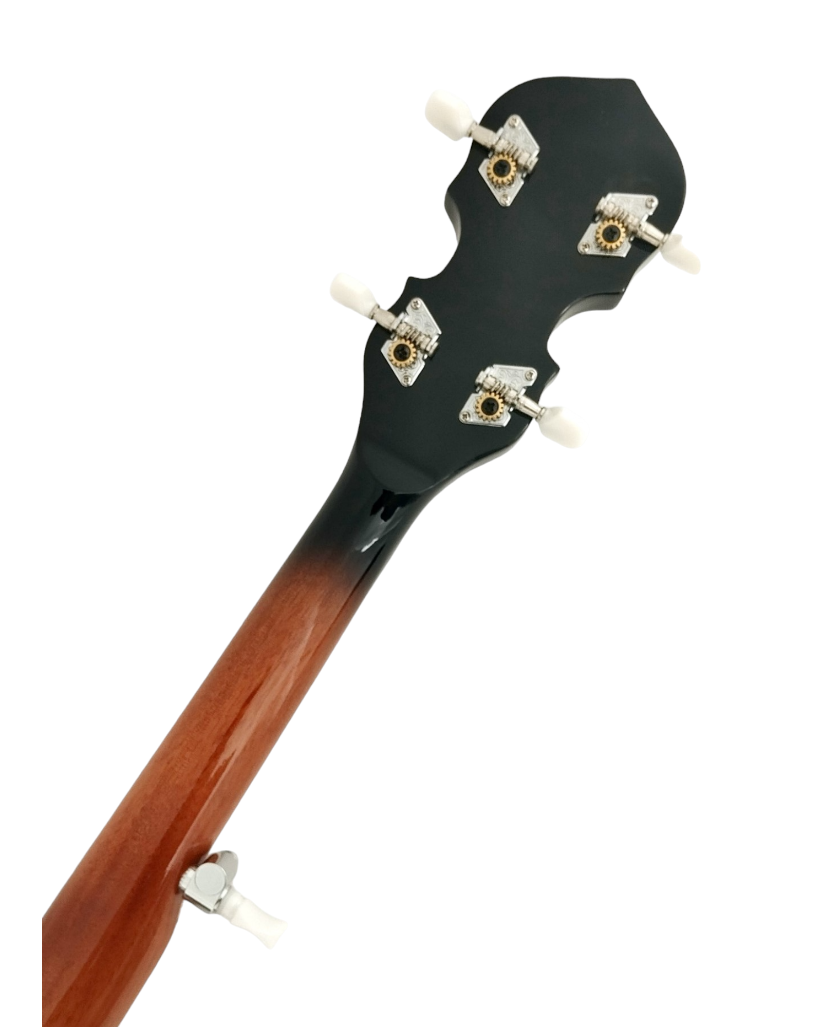 Caraya 5-String Mahogany Body Resonator Banjo - Natural BJ005EQ1