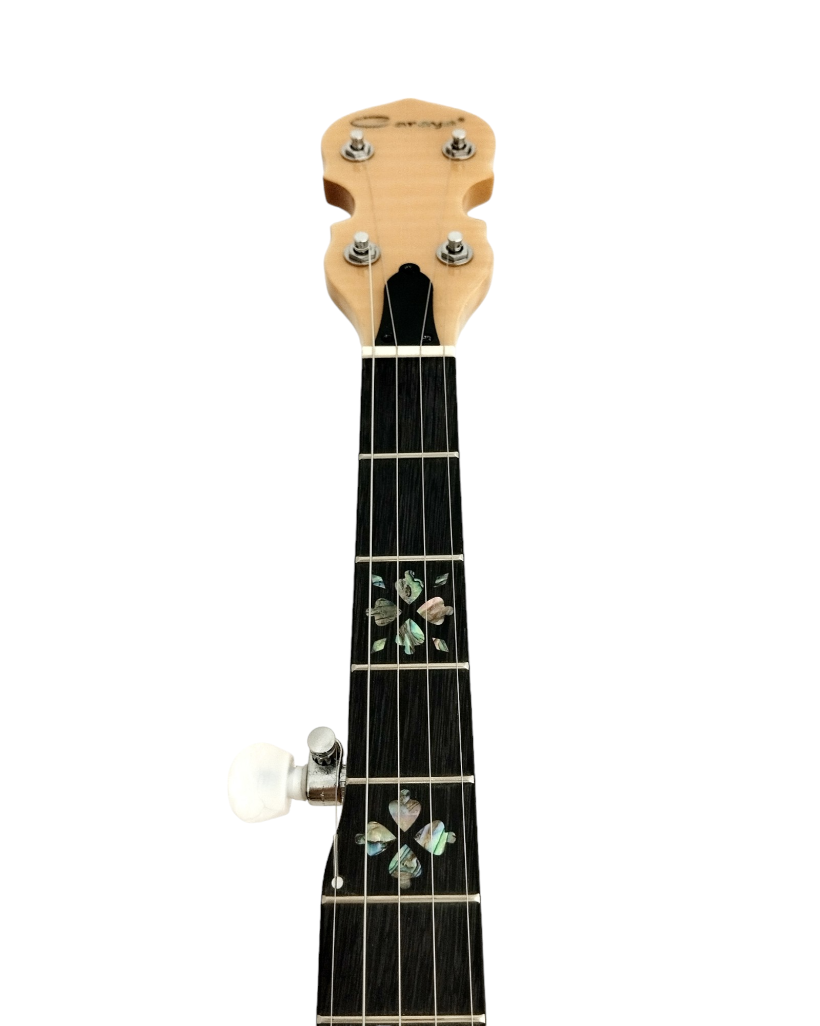 The Harmony of Tradition and Innovation BJ009AM 5-String Banjo with hardcase