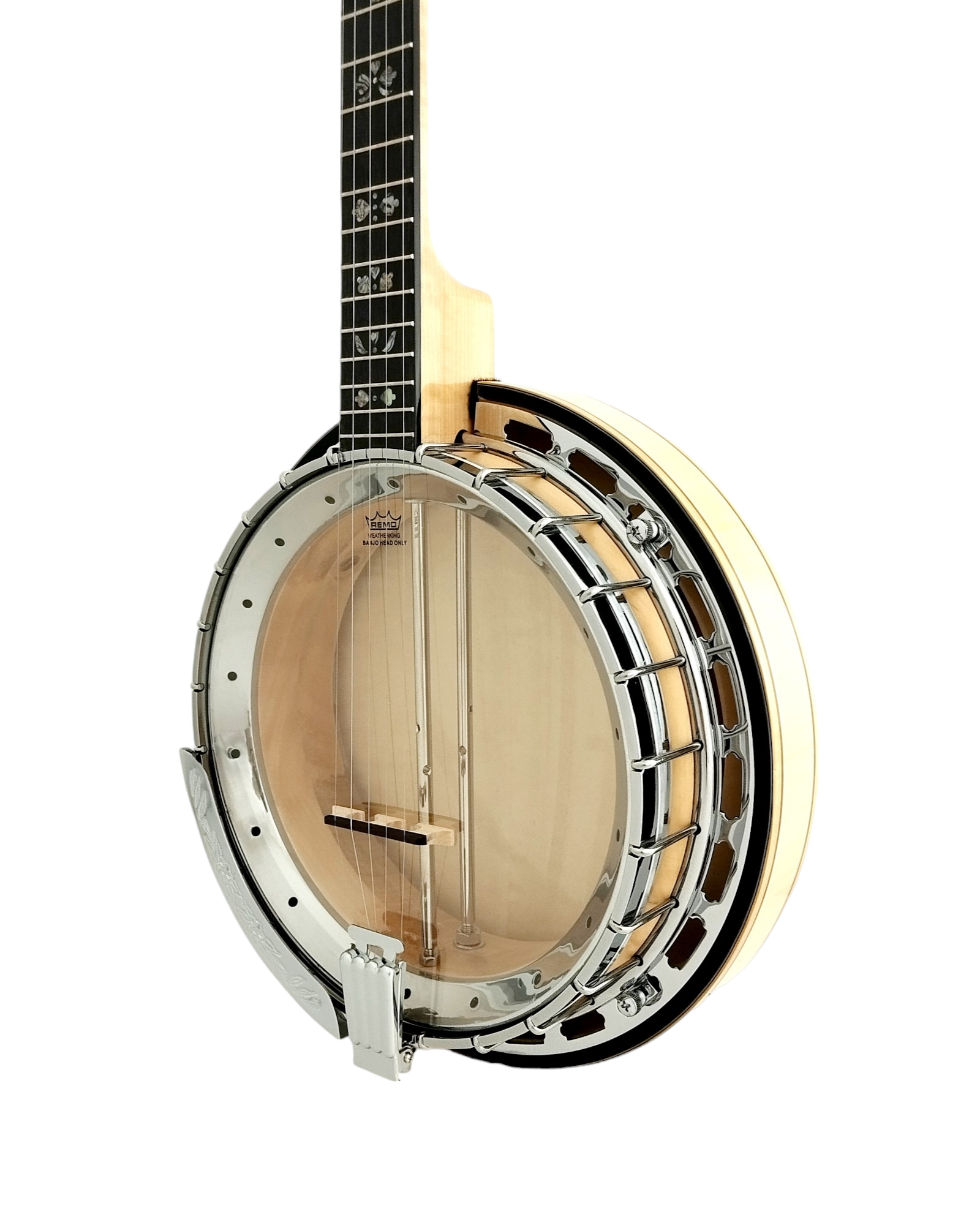 The Harmony of Tradition and Innovation BJ009AM 5-String Banjo with hardcase