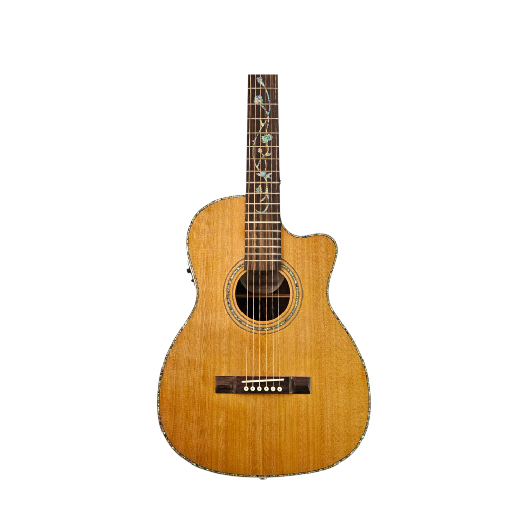 Acoustic Guitars