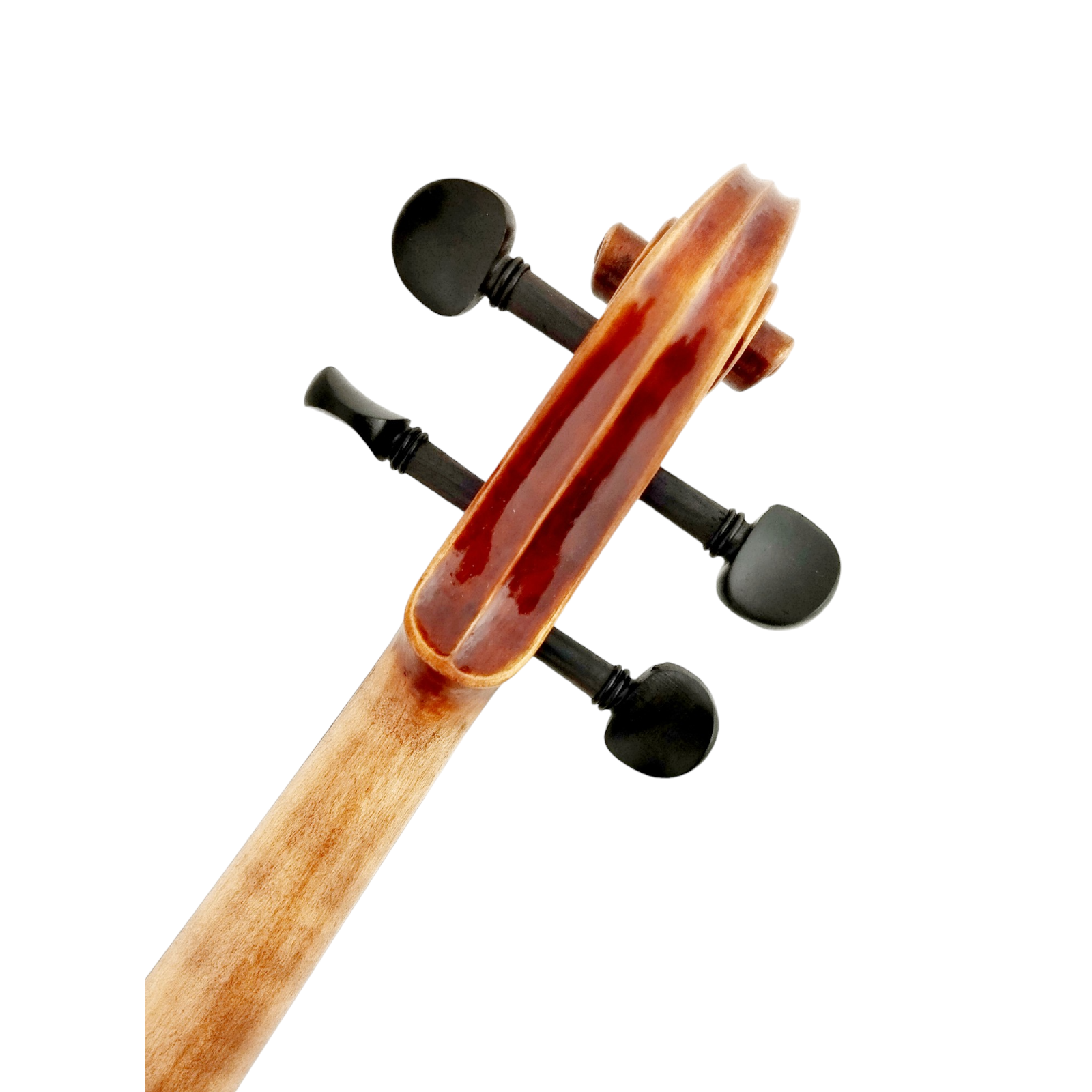 Melodic Majesty, The PVE80 Symphony Violin