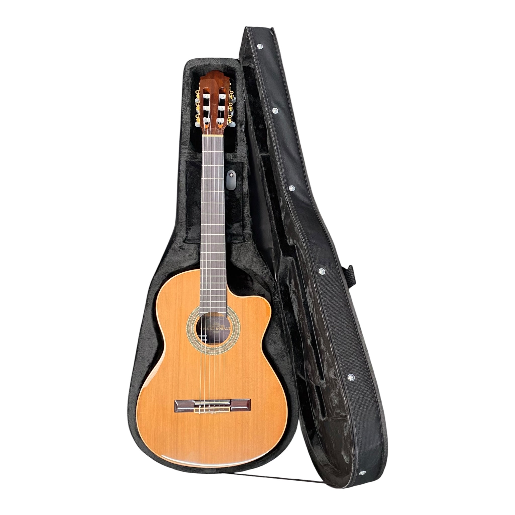 Haze C01 Classical Guitar Ultra-Lightweight Hard Foam Case - Single Strap, Black