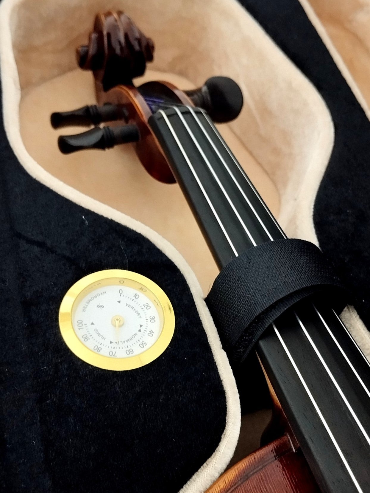 Full Size SRVA211442 Violin Outfit