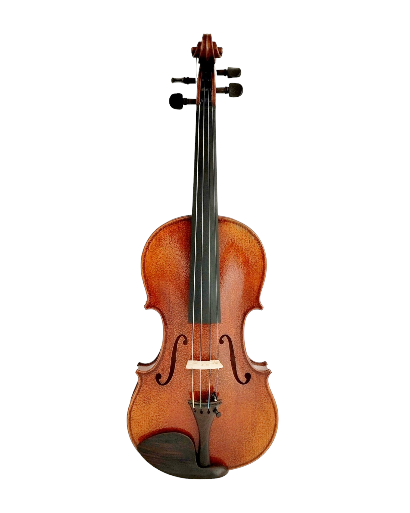 Full Size SRVA211444 Violin Outfit