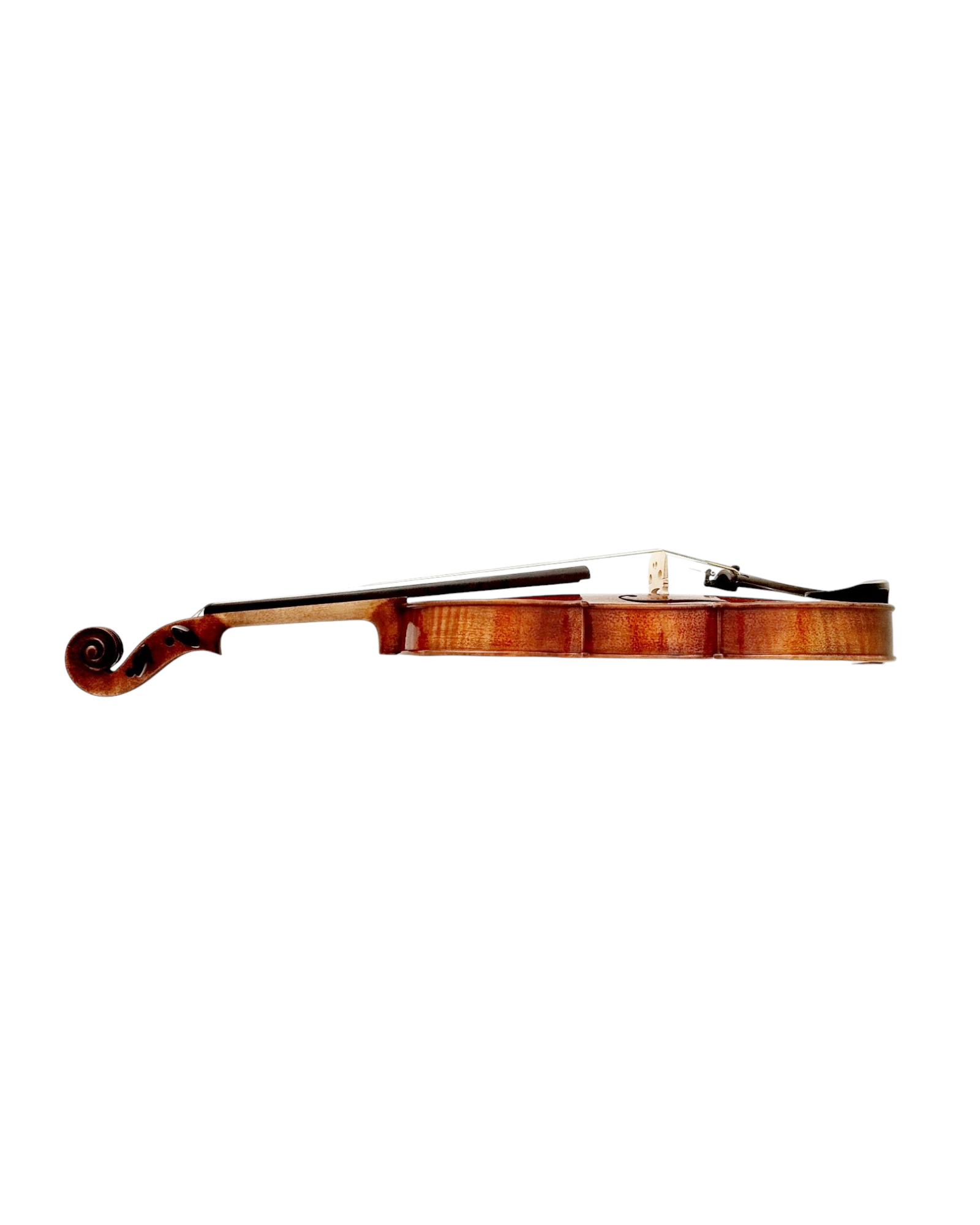 Full Size SRVA211444 Violin Outfit