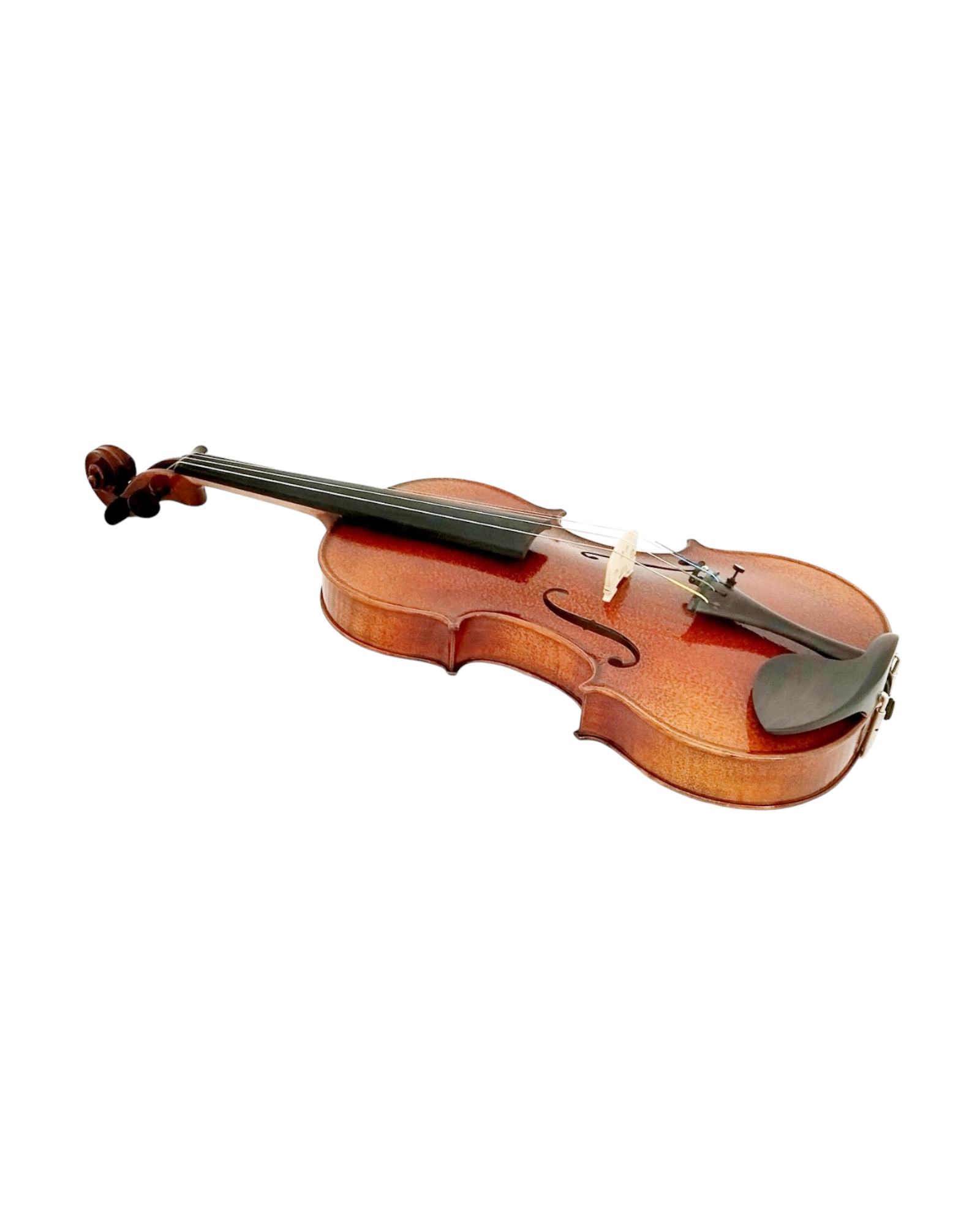 Full Size SRVA211444 Violin Outfit