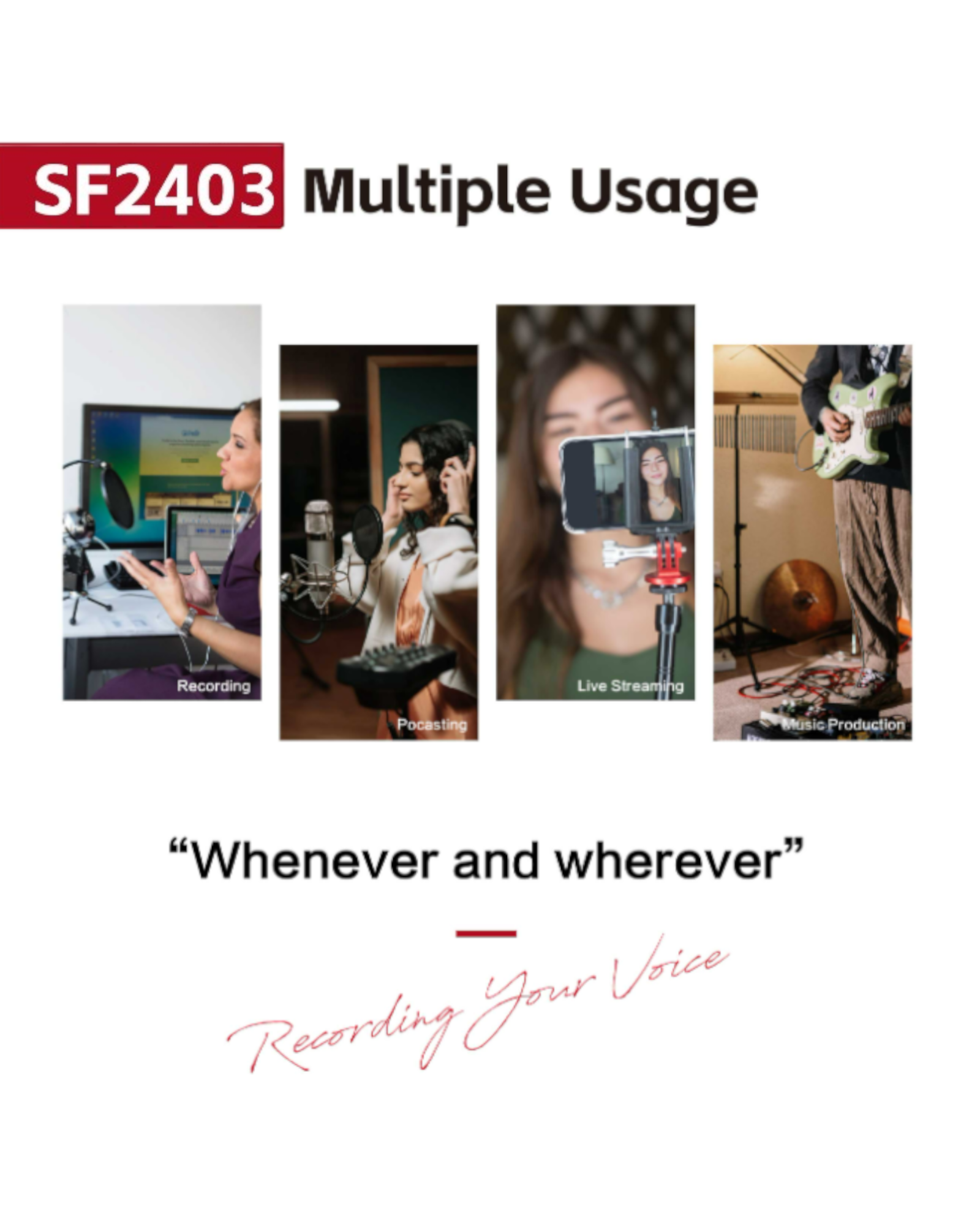 Simplefly Analog Dual-Channel 24bit/192kHz AD/DA Converter USB-C Audio Interface w/ 48V Phantom Power Supply & Loopback Function - SF2403