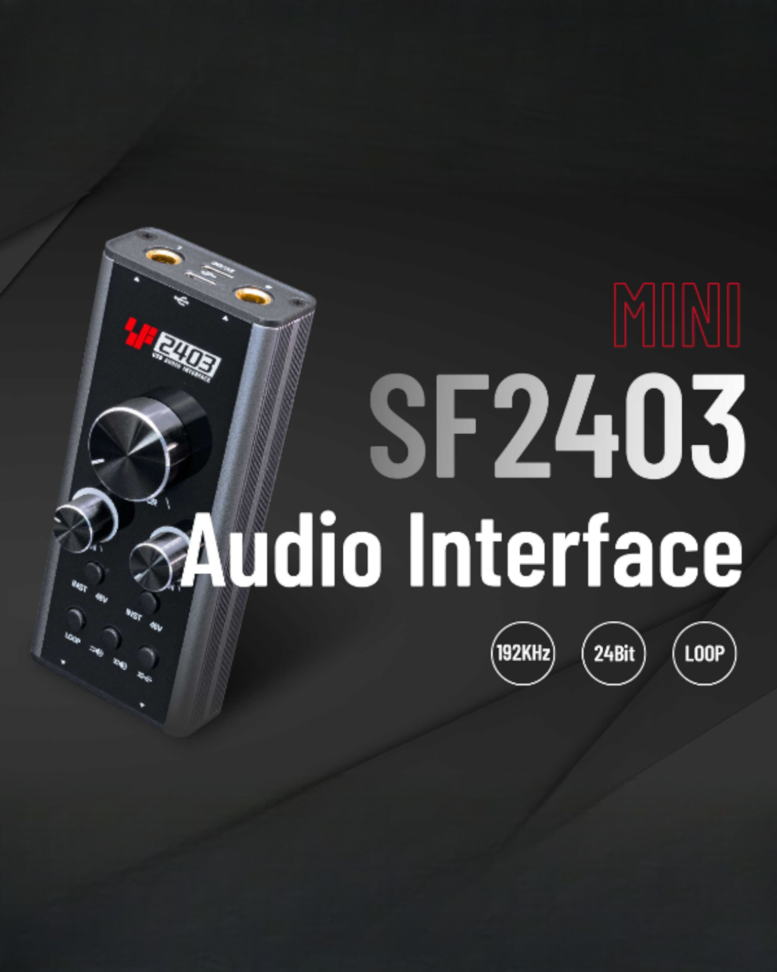 Simplefly Analog Dual-Channel 24bit/192kHz AD/DA Converter USB-C Audio Interface w/ 48V Phantom Power Supply & Loopback Function - SF2403