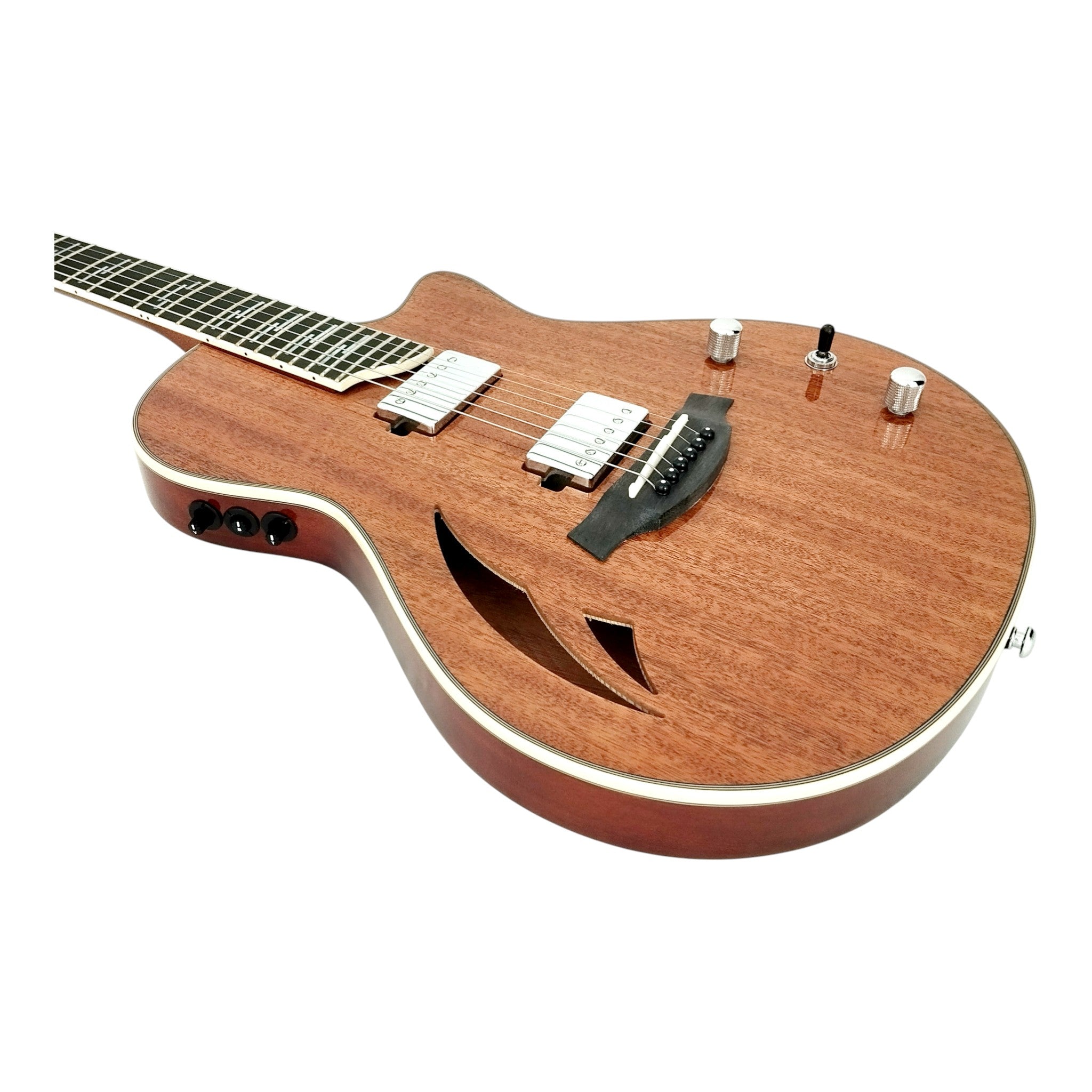 The Swiss Army Knife of Hybrid Electric-Acoustic Guitars w/ (Optional) Foam Case - MULTISPECIALIST2