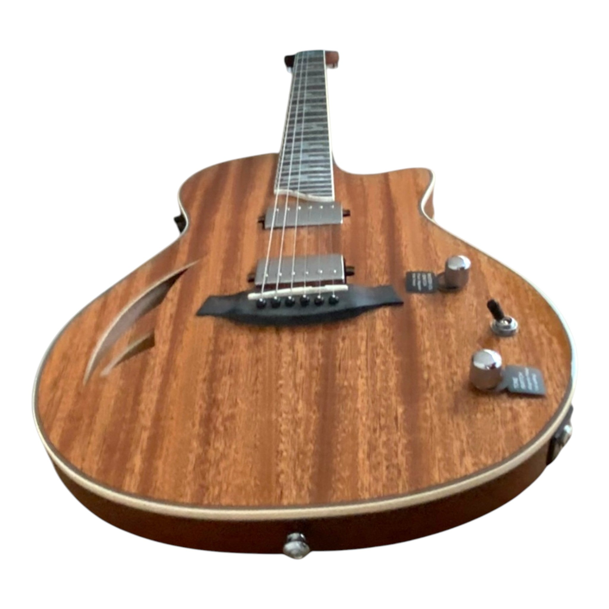 The Hybrid All-In-One Electric-Acoustic Guitar w/ (Optional) Foam Case - MULTISPECIALIST3