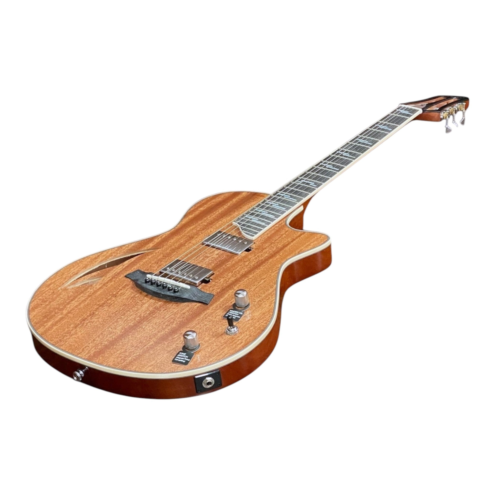 The Hybrid All-In-One Electric-Acoustic Guitar w/ (Optional) Foam Case - MULTISPECIALIST3
