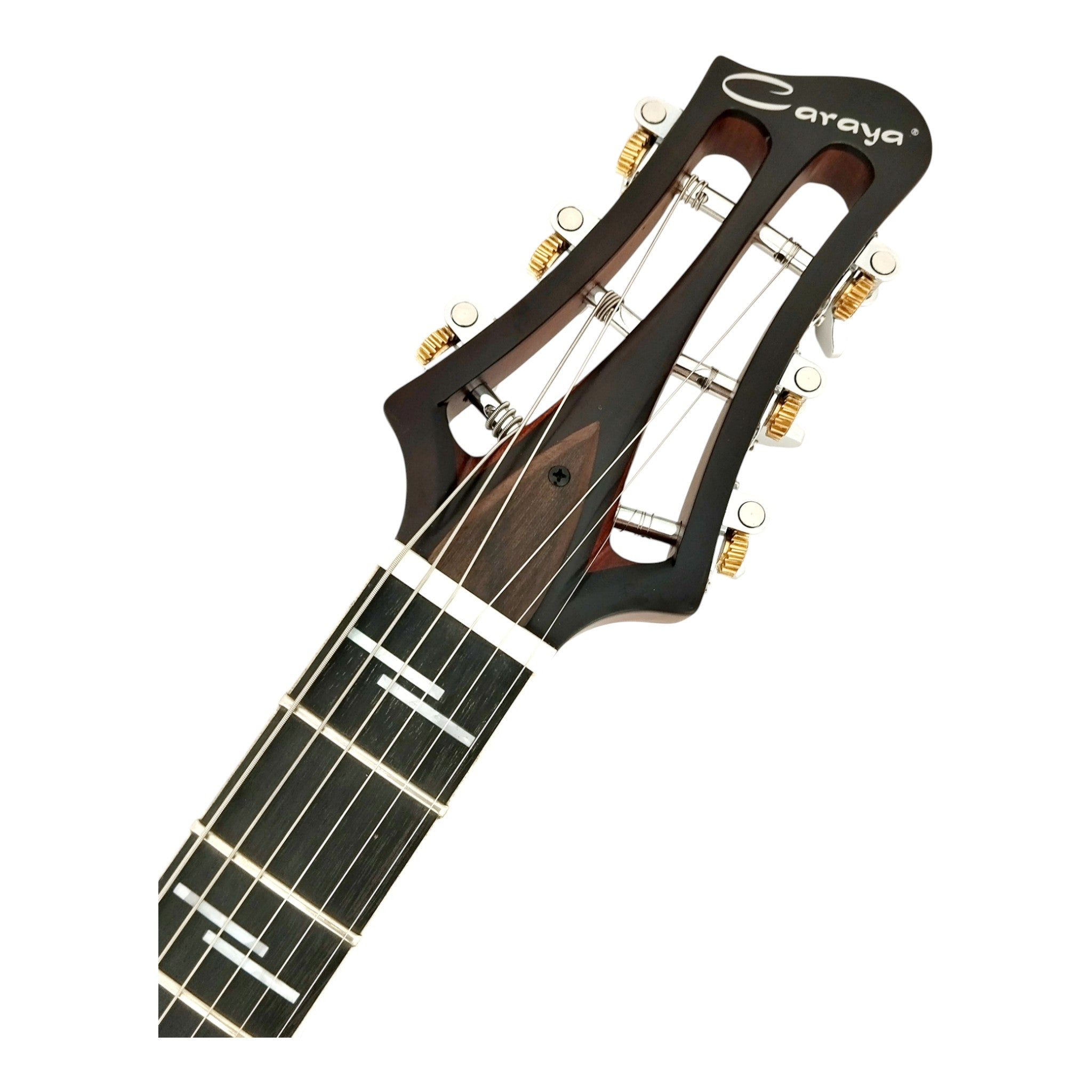 The Hybrid All-In-One Electric-Acoustic Guitar w/ (Optional) Foam Case - MULTISPECIALIST3