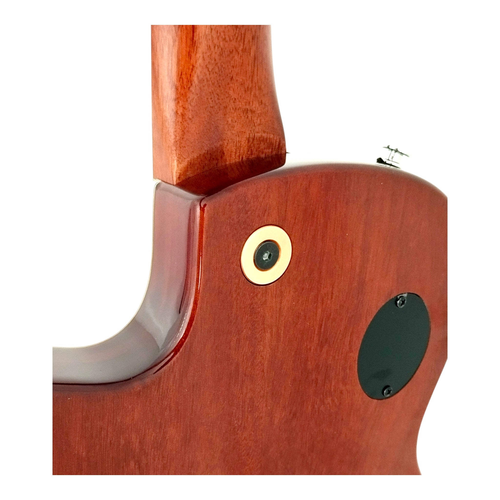 The Hybrid All-In-One Electric-Acoustic Guitar w/ (Optional) Foam Case - MULTISPECIALIST3