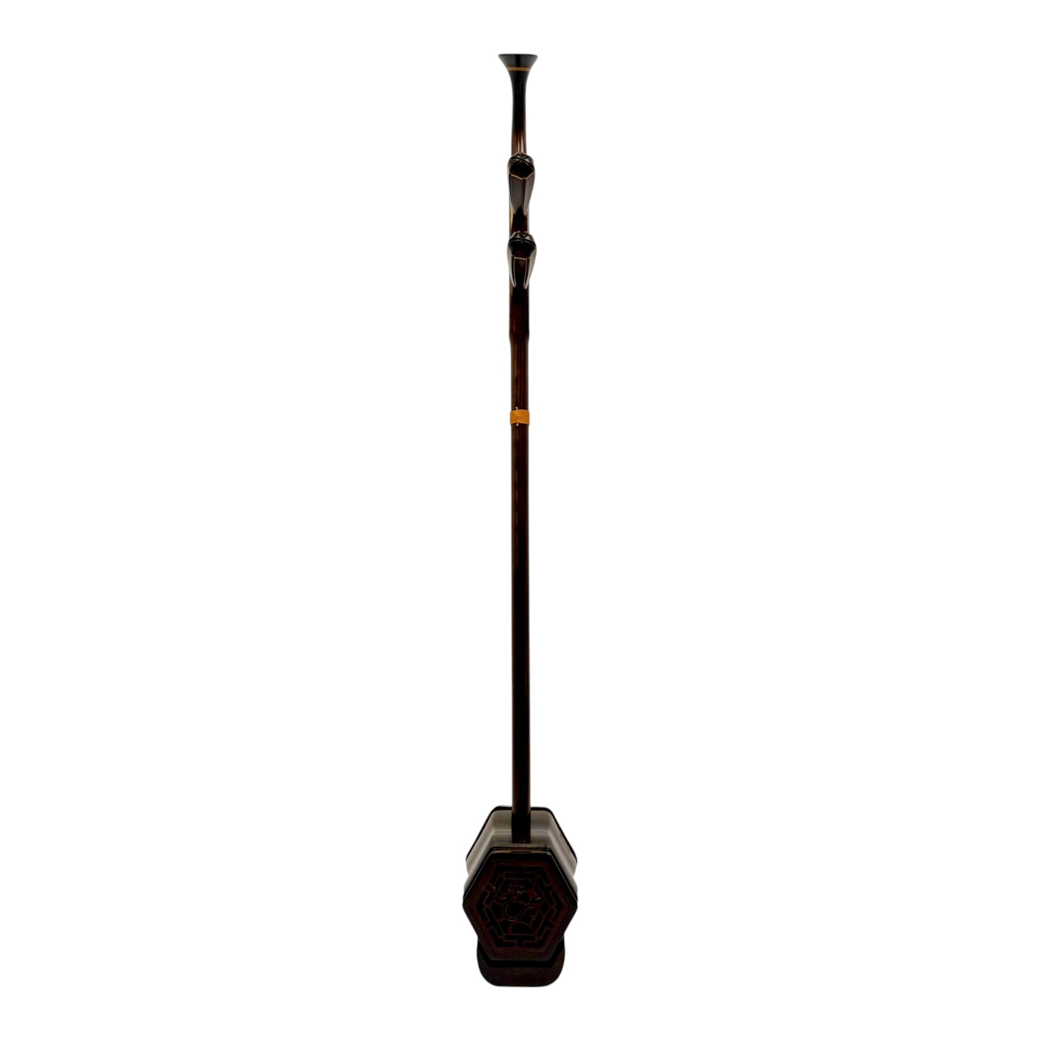 Coco CAR015 Master-Grade Aged Rosewood Erhu Outfit with Hard Case & Accessories