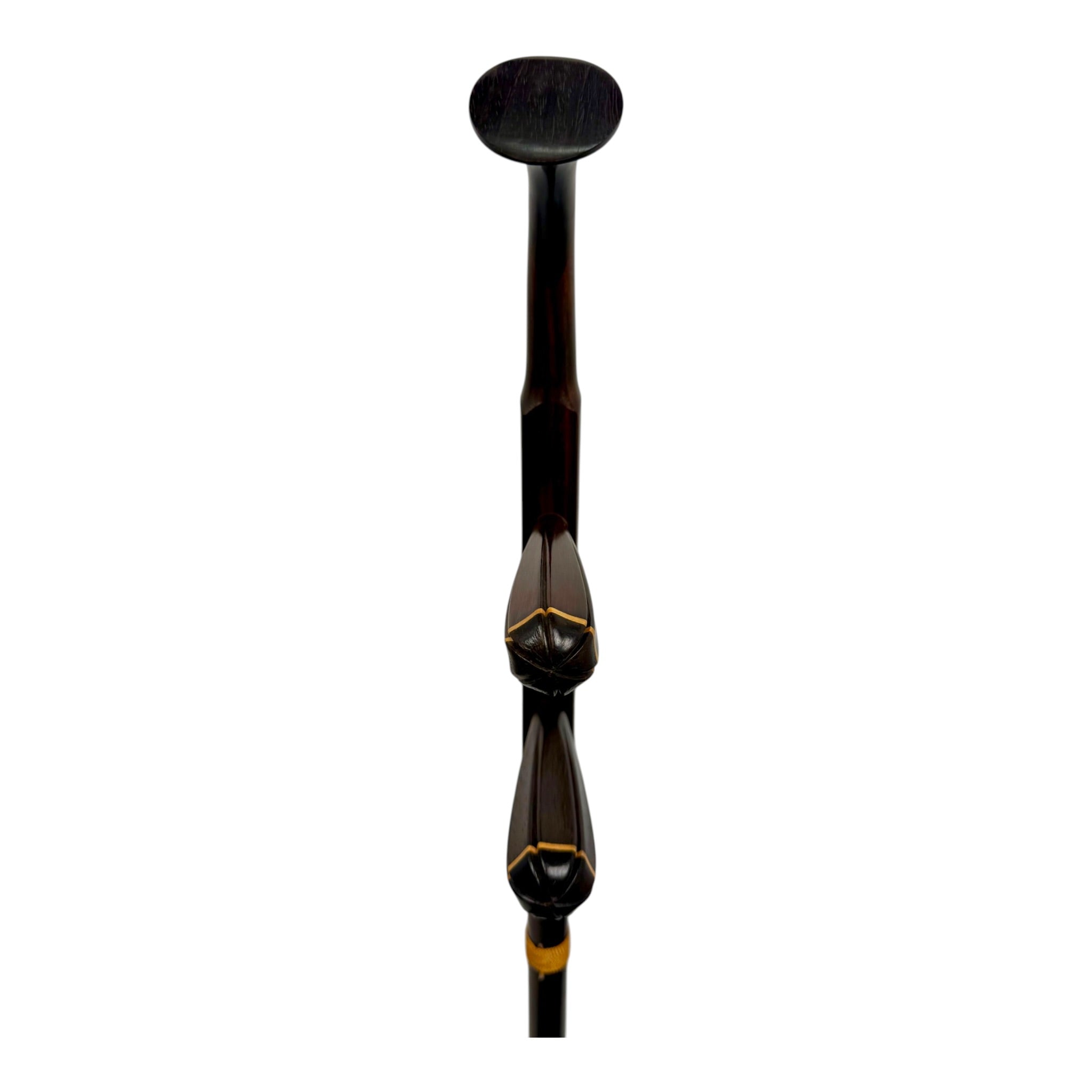 Coco CAR015 Master-Grade Aged Rosewood Erhu Outfit with Hard Case & Accessories