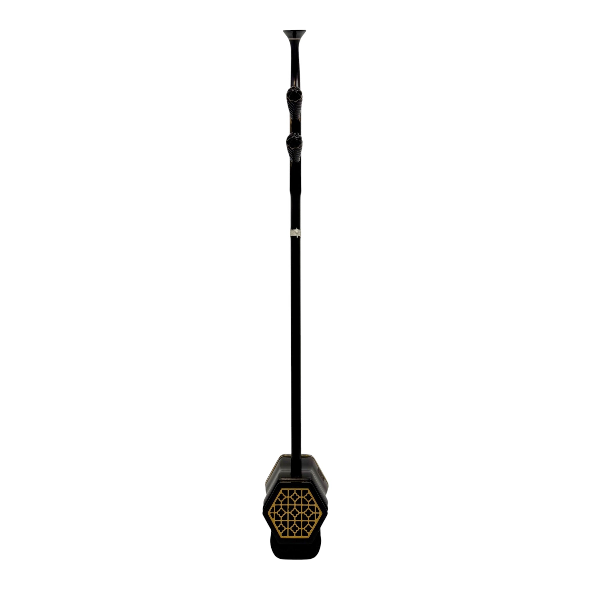 Coco CE007CT Professional-Grade Ebony Erhu Outfit with Hard Case & Accessories