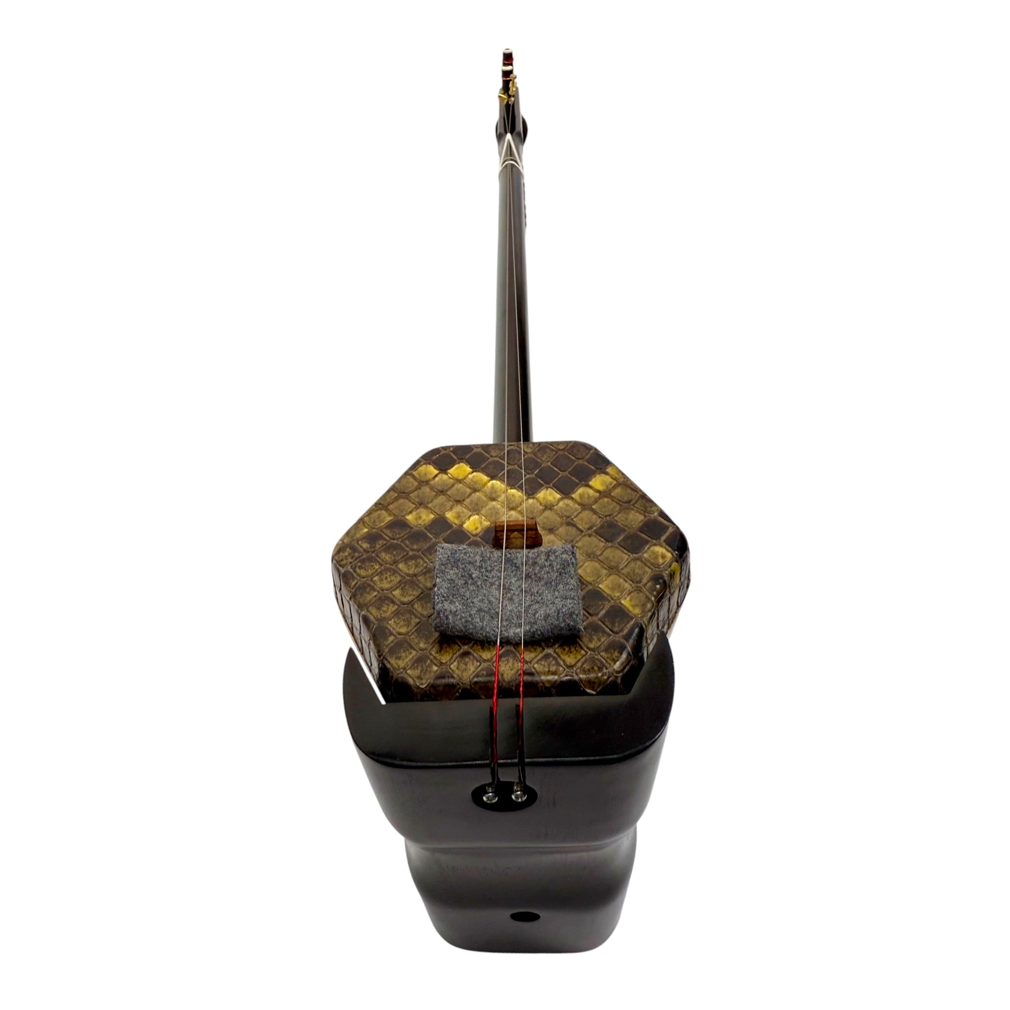 Coco CE007CT Professional-Grade Ebony Erhu Outfit with Hard Case & Accessories
