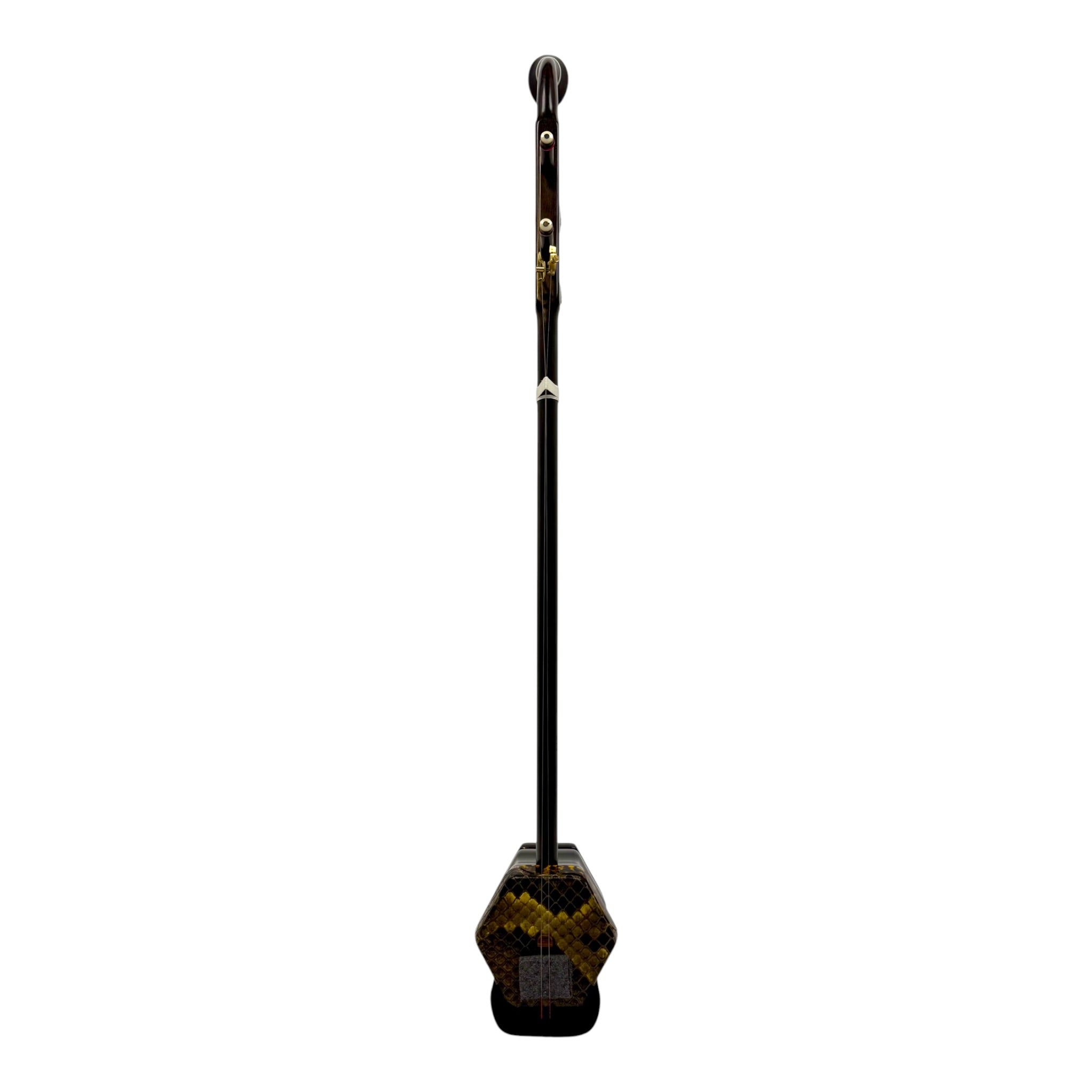 Coco CE007CT Professional-Grade Ebony Erhu Outfit with Hard Case & Accessories
