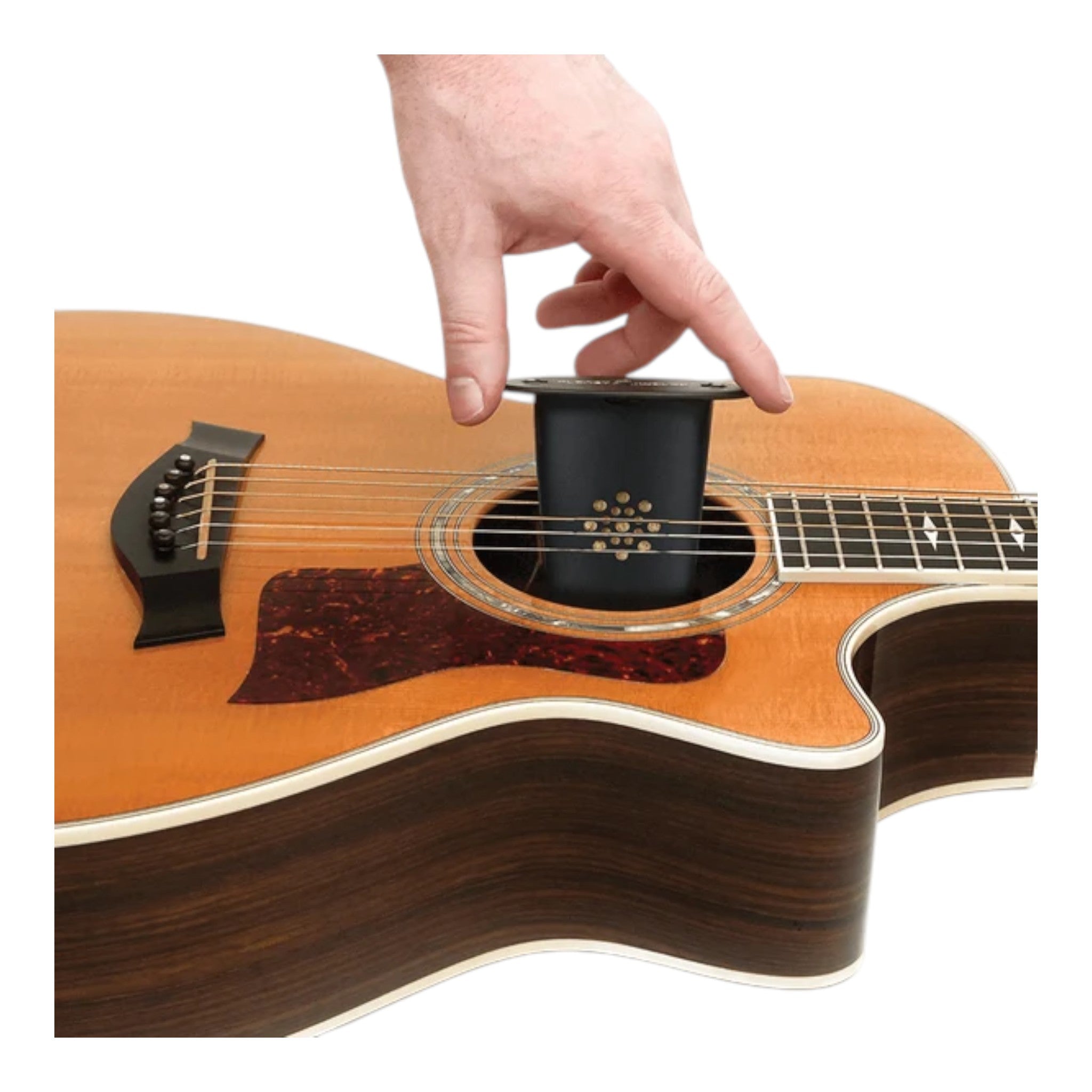 D'Addario GH Refillable Cellulose Sponge Soundhole Humidifier for Acoustic Guitars