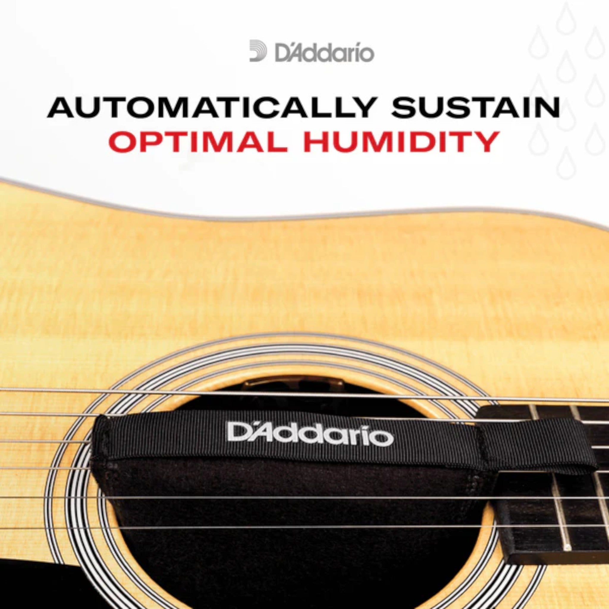 D'Addario PWHPK01 "Humidipak Maintain" Automatic Two-Way Humidity Control System for Guitars