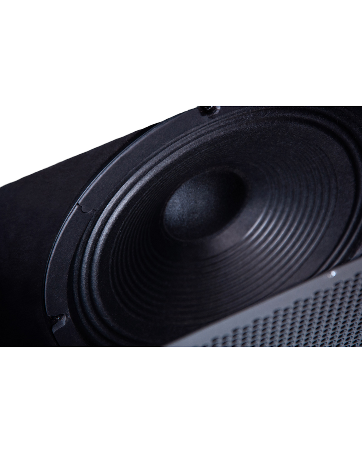 Haze Guitar Australia Joyo BTCAB 8-inch Celestion EIGHT 15 guitar speaker cabinet close-up