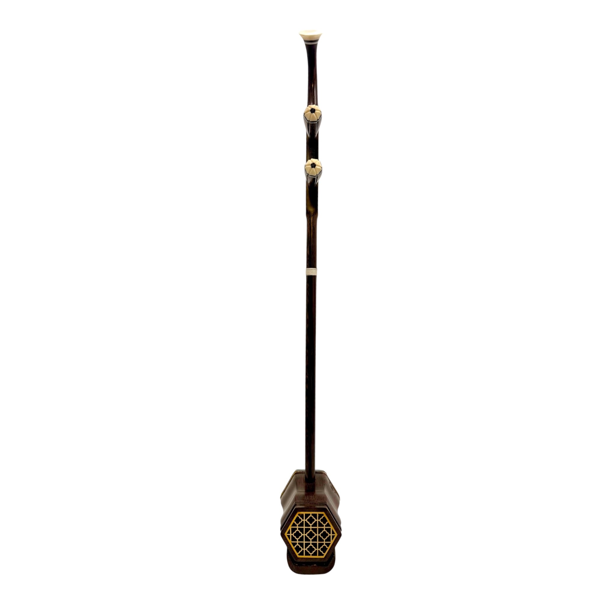 Hua Yin HY825 Wenge Erhu with Dark Brown Finish - Hard Shell Case - Student Series
