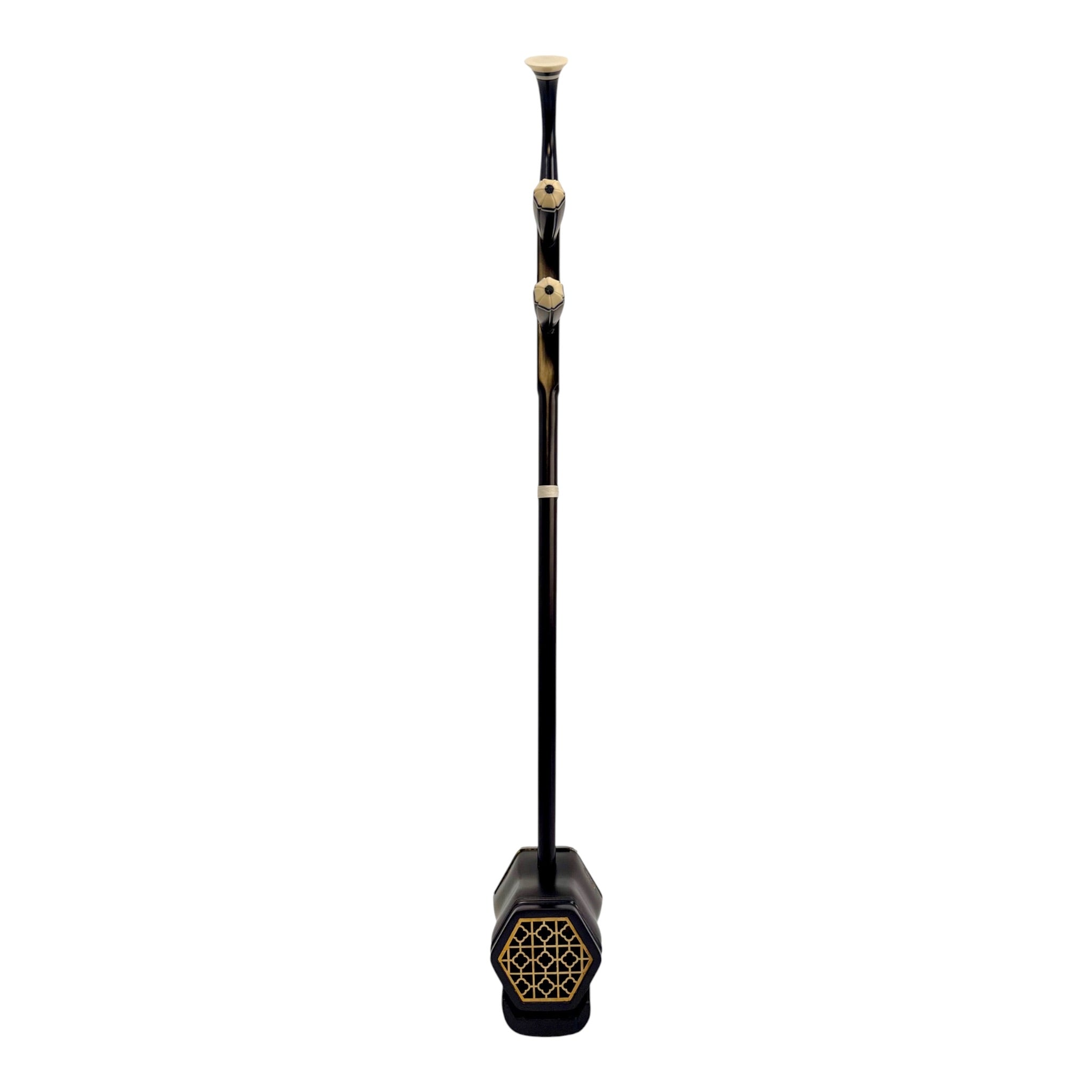 Hua Yin HY832 Rosewood-Style Erhu with Dark Coffee Finish - Hard Shell Case - Student Series