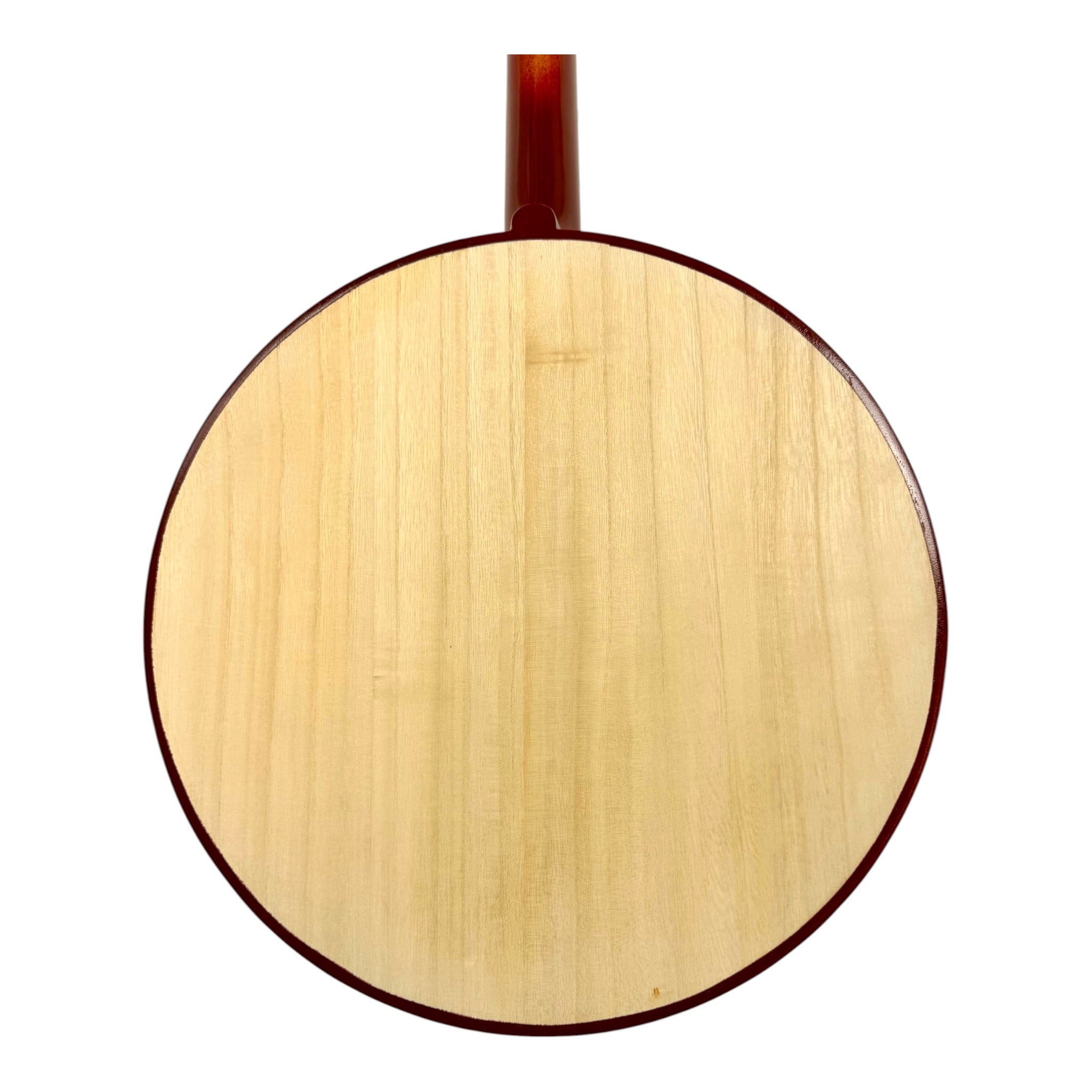 Hua Yin ZR300 Hardwood Zhongruan Chinese Moon Guitar - Traditional 4-String Tenor Ruan for Beginners & Education