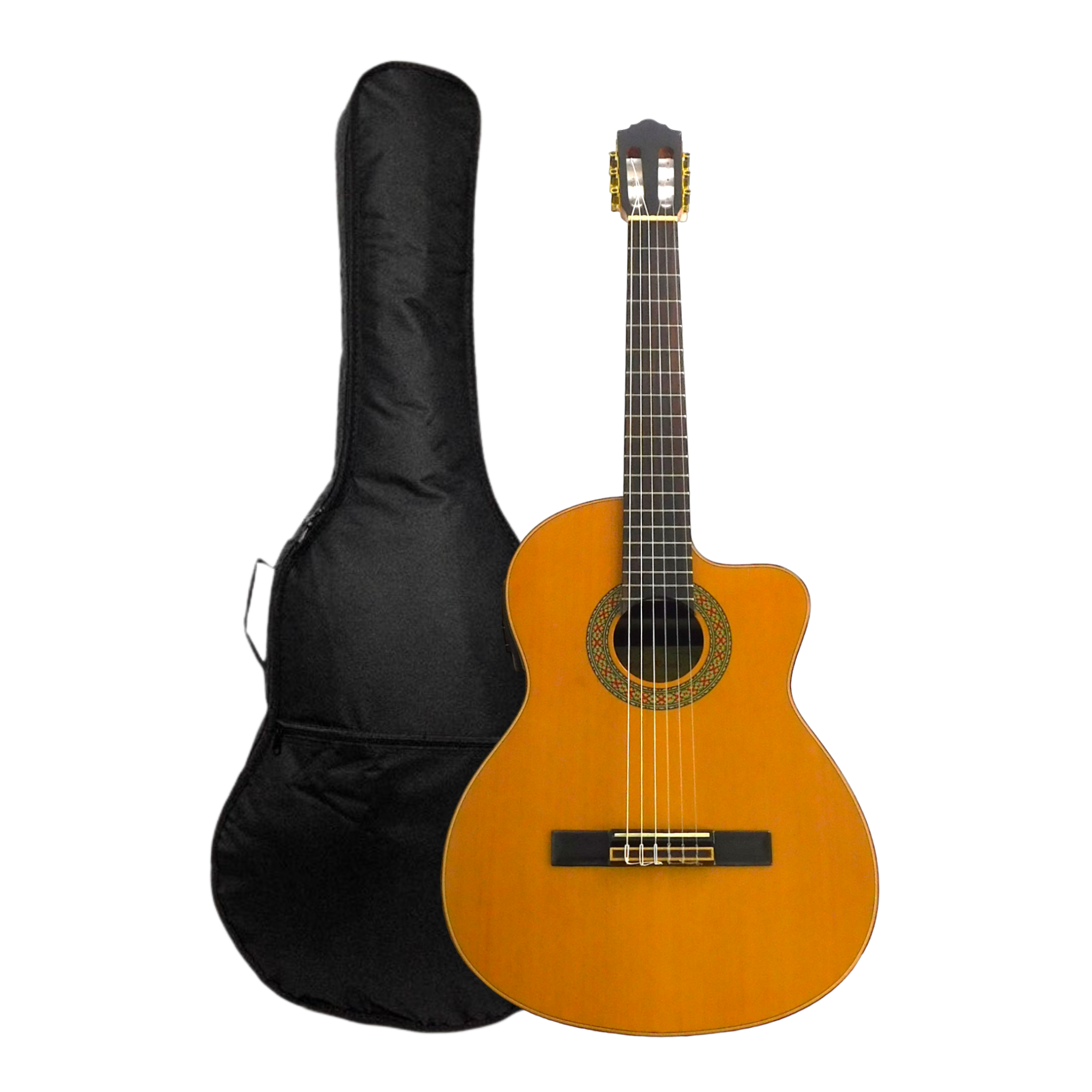 Miguel Rosales HS20CEQN Solid Cedar Cutaway Built-In Pickup/Tuner Classical Guitar - Natural