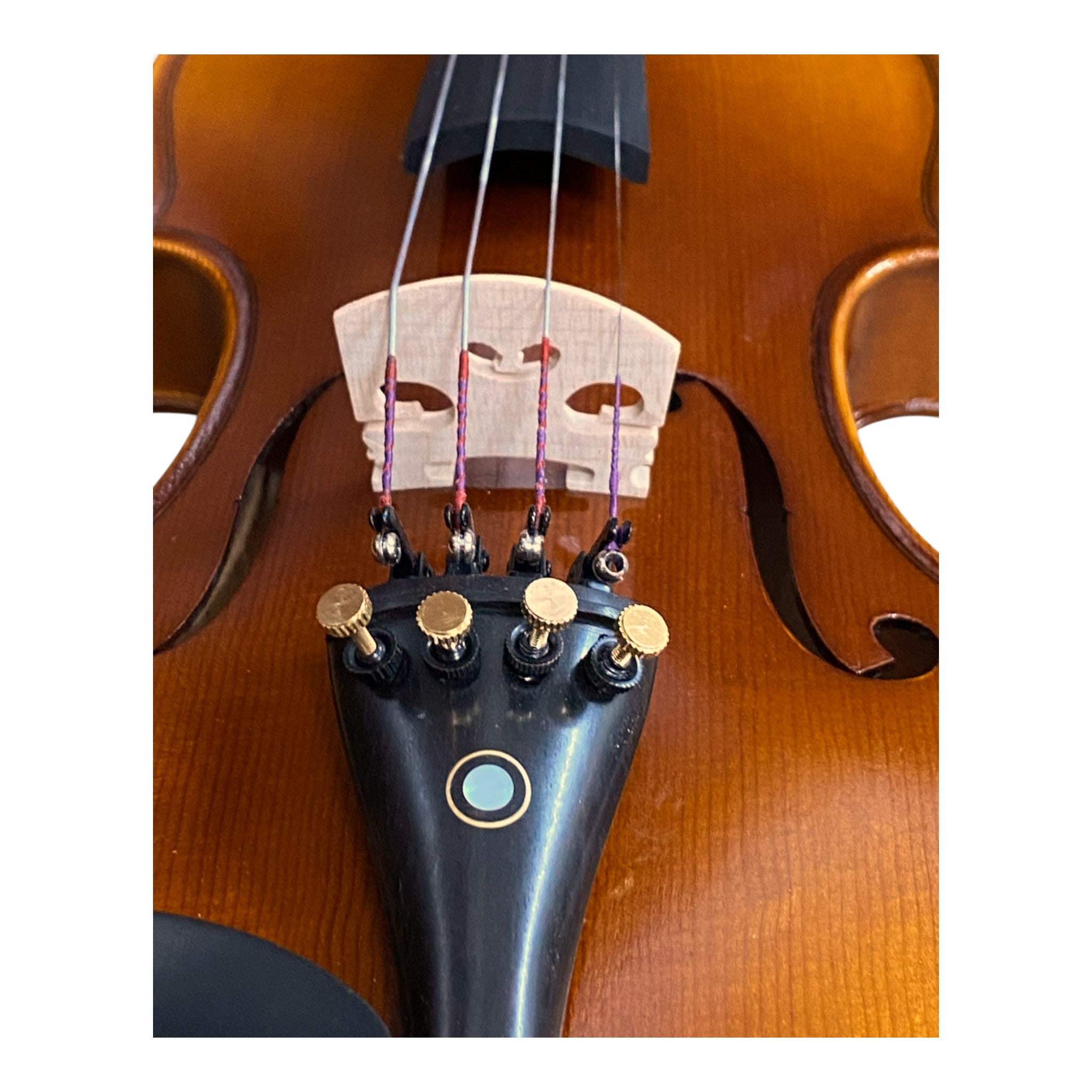 Symphony AV545 Solid Spruce & Flamed Maple 1/2 Size Violin outfit in Natural Semi-Gloss w/ Foam Case, Bow, and Rosin